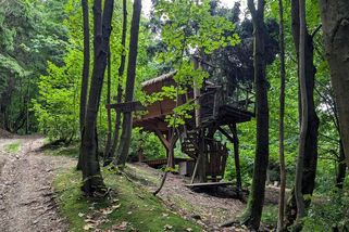 Třem luxusním treehousům pod Ještědem hrozí demolice, podle úřadů vznikly načerno - Novinky